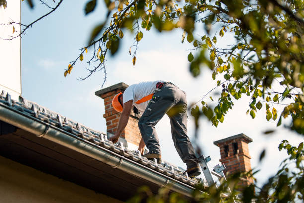 Best Affordable Roof Replacement  in Morris, OK